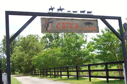 Catca woods